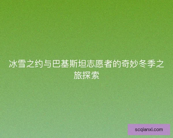 冰雪之约与巴基斯坦志愿者的奇妙冬季之旅探索